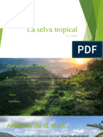 La Selva Tropical