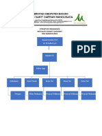 Contoh Struktur Organisasi Igd RSDM