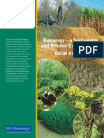 Bioenergy - A Sustainable and Reliable Energy Source: Main Report
