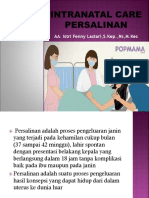 Persalinan Normal PDF