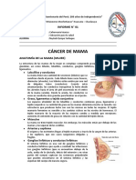 Cancer de Mama Proyecto