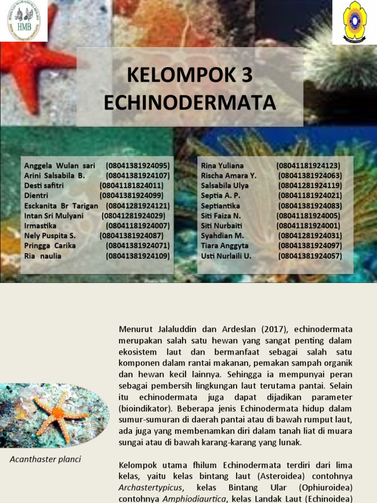 ECHINODERMATA | PDF | Ilmu Sosial