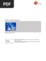 Perfil Serralheiro Civil Nivel2