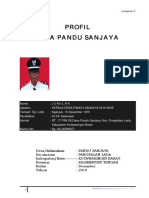 Profil Desa Pandu Sanjaya 2020 