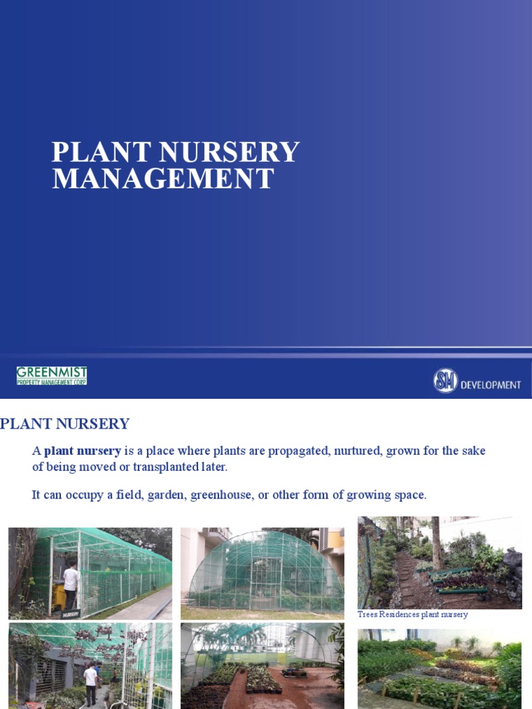Plant Nursery Management Manual Updated PDF Plant Nursery Grafting
