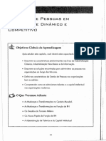 Gestão de Pessoas em Ambientes Dinâmicos