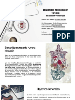 Presentacion Anatomía Humana Otoño 2021