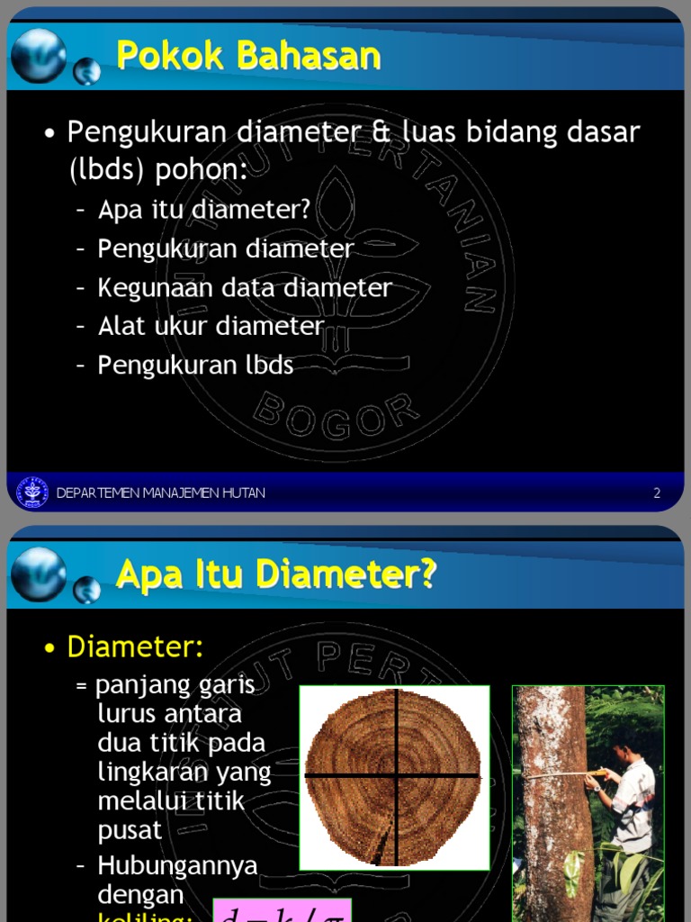 Pengukuran Diameter Pohon dan LBDS | PDF
