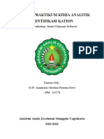 Laporan Indentifikasi Kation - Ni Pt. Annemarie Christina P.D - 211278