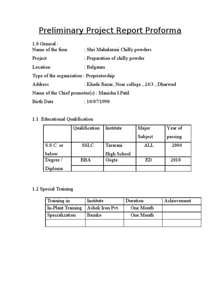 Preliminary Project Report Proforma | Capital (Economics) | Business