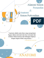 Anatomi Sistem Persarafan Dan Sistem Perkemihan