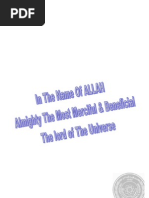 Download Field Work Report by Geologist Fazal Elahi SN54320784 doc pdf