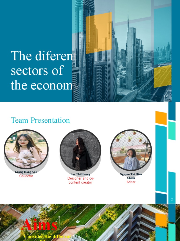 Diferent Sectors of The Economy | PDF | Tertiary Sector Of The Economy ...
