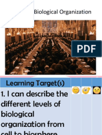 Levels of Biological Organization
