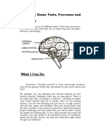 Lesson 11 Brain: Parts, Processes and Functions