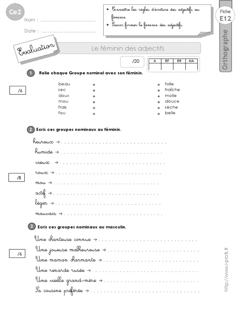 évaluation Le Pluriel Des Noms Ce2 Ce2 Evaluation Feminin Adjectifs | PDF | Genre grammatical | Morphologie  linguistique