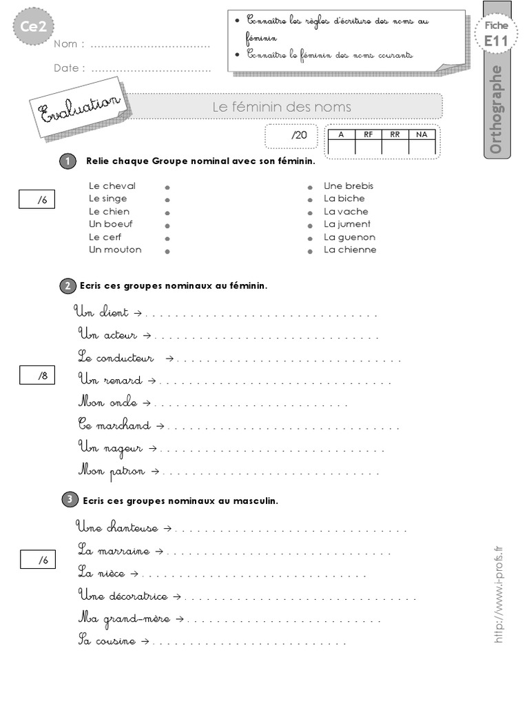 Le Féminin Des Noms Exercices Pdf Cm2 Ce2 Evaluation Feminin Noms | PDF