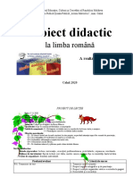 Proiect La Limba Romana Clasa 2