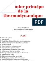 Thermo 1