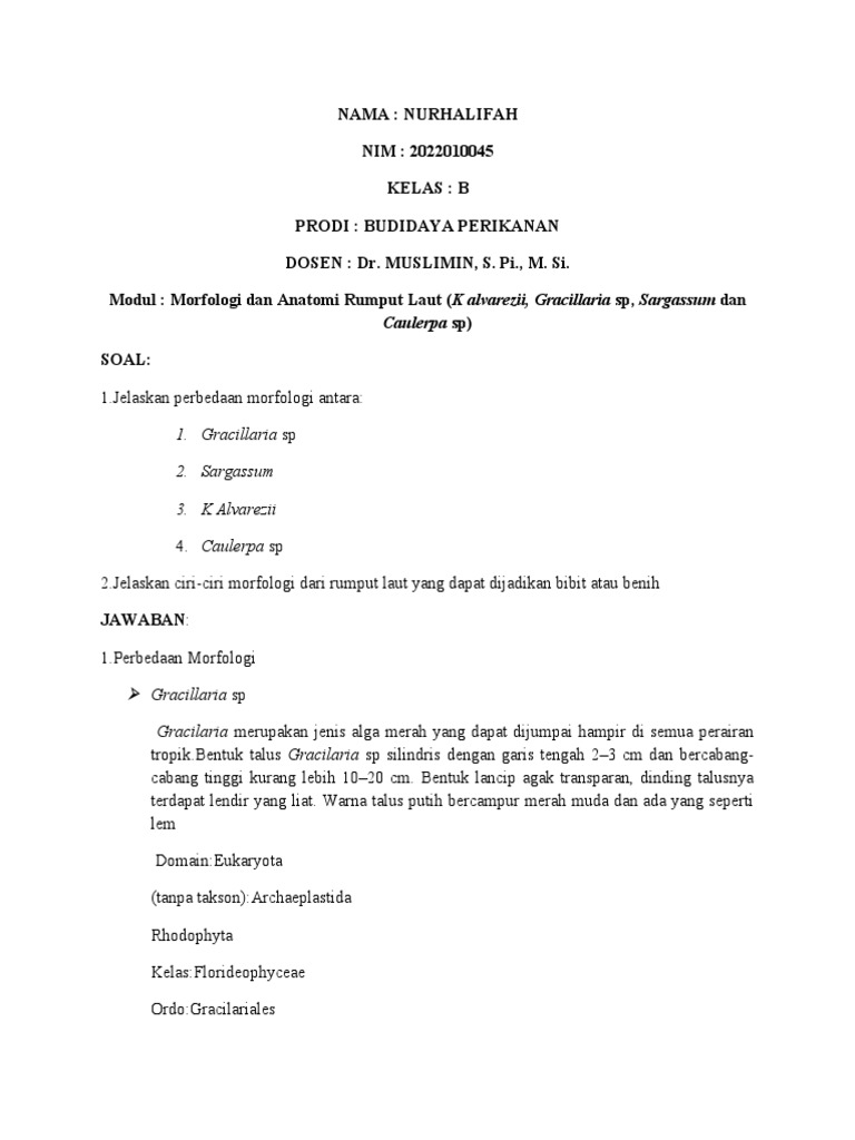 TBRL NURHALIFAH (Morfologi & Anatomi Rumput Laut) | PDF