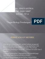 Tugas Biologi Persilangan Mendel Sindi