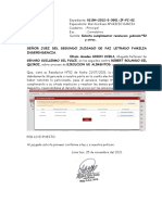 PULCE - SIRVASE RESOLVER RESOLUCION JUDICIAL N° 52