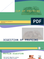 Module 7 - Metabolism of Proteins