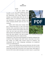 Proposal Agroforestri