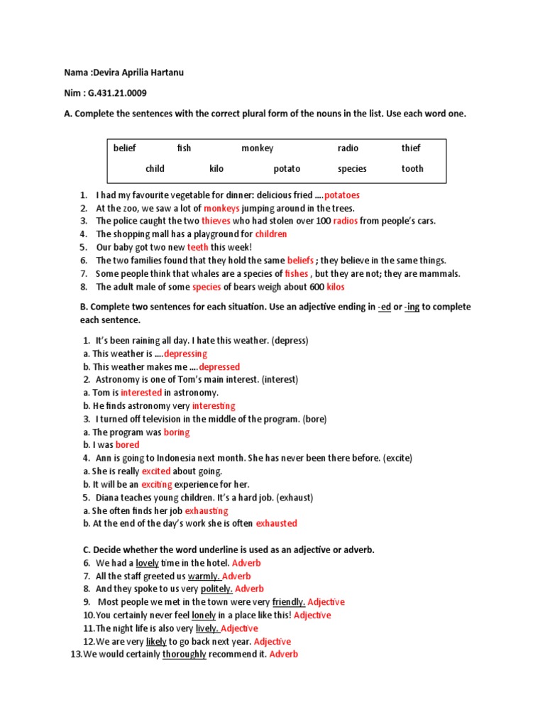English Grammar Exercises | PDF | Adverb | Adjective