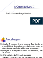 Amostragem Não Probabilística Por Conveniência