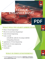 15.tissue engineering (2) (1)