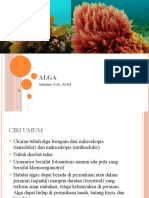 Materi Pembahasan Alga