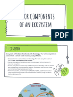 Major Components of An Ecosystem