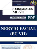 Pares Craneales Vii - Viii