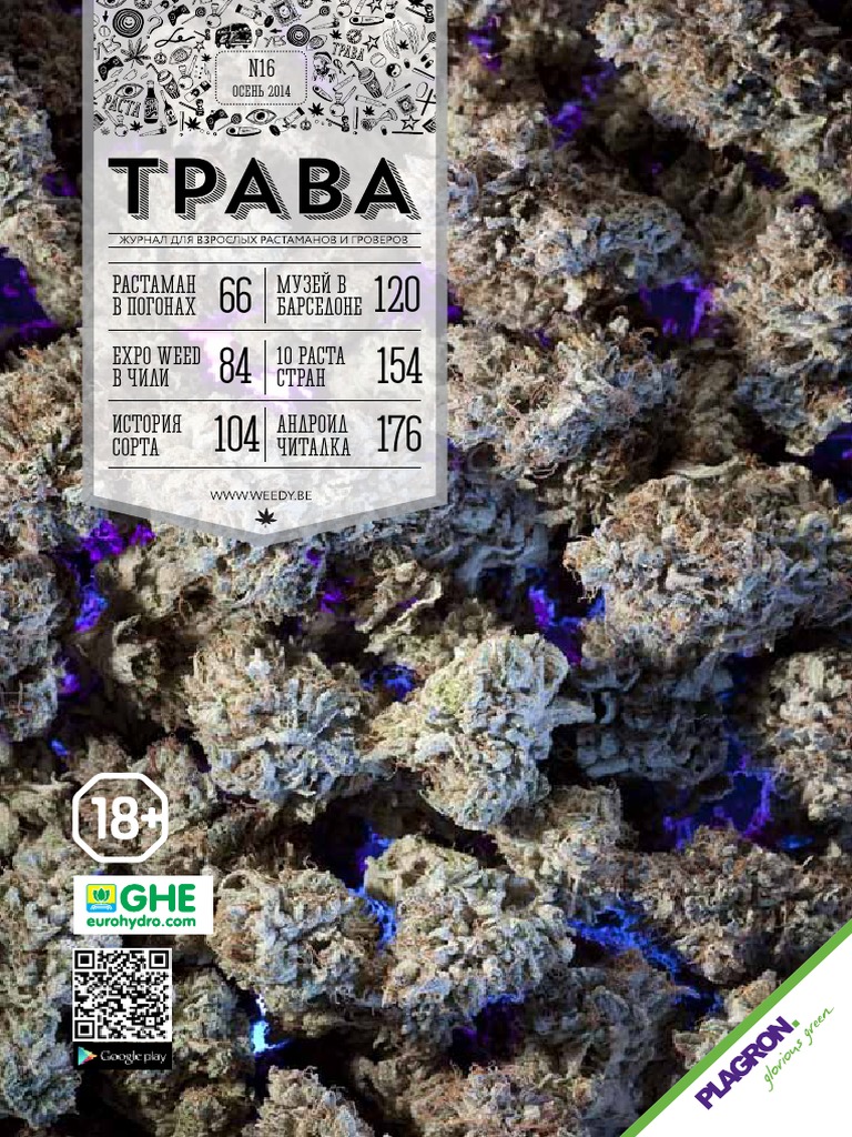 Үлкен жігіттердің топтық сексі