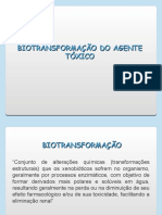 Slides Da Terceira Aula Toxicinetica Biotransformação e Eliminação