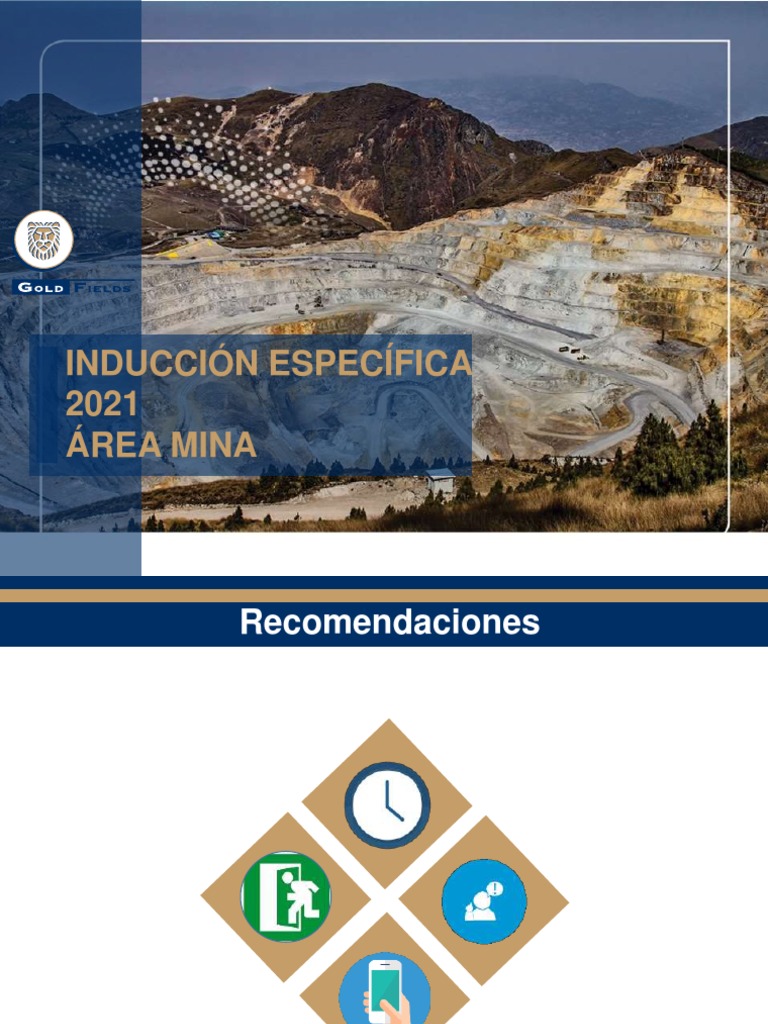 Inducción Específica en Mina 2021 | PDF | Minería | Razonamiento inductivo