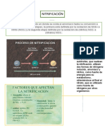 2 Nitrificación