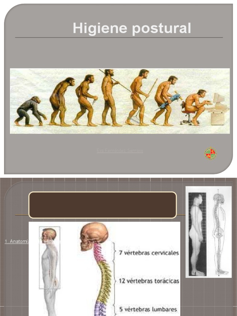 Higiene Postural y Ejercicios de Columna | PDF | La columna vertebral | Pie