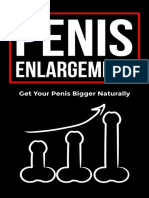 Penis Enlargement - Get Your Penis Bigger Naturally, Learn Time Tested Techniques and Routines, Last Longer in Bed, and Achieve Supernatural Performance! (PDFDrive)