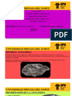 Final - Mineralogia y Petrologia - 2021