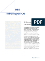 Business Intelligence Ibermatica