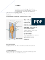 CADEIAS MUSCULARES PRINCIPAIS