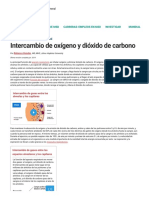 Intercambio de Oxígeno y Dióxido de Carbono - Trastornos Del Pulmón y Las Vías Respiratorias - Manual MSD Versión Para Público General