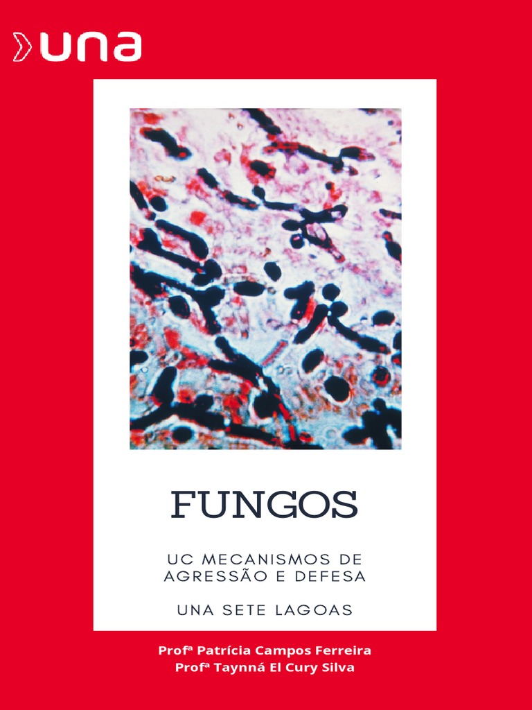 Mecanismos de Agressão e Defesa dos Fungos Reprodução, Características e Importância Ecológica