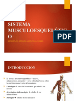 Terminología Médica Sistema Musculoesquelético