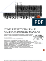 Zonele Funcţionale Ale Maxilarelor