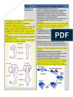 Daniel Isaac Guerrero Velazquez Desarrollo Filogenético y Ontogenetico