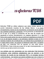 Funciones Efectoras TCD8