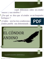 El Cóndor